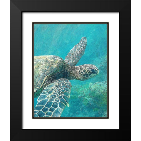Sea Turtle 1 Black Modern Wood Framed Art Print with Double Matting by Bailey, Ann