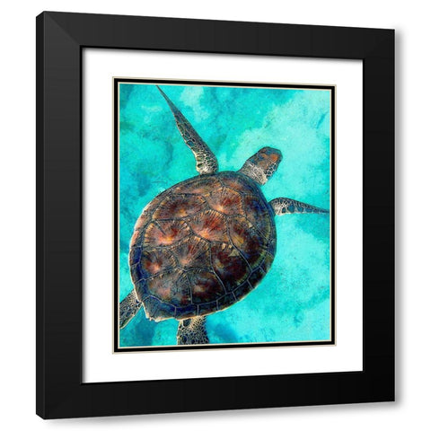 Sea Turtle 2 Black Modern Wood Framed Art Print with Double Matting by Bailey, Ann