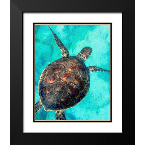 Sea Turtle 2 Black Modern Wood Framed Art Print with Double Matting by Bailey, Ann