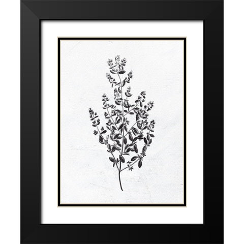 Pressed Herbs 1 Black Modern Wood Framed Art Print with Double Matting by Bailey, Ann