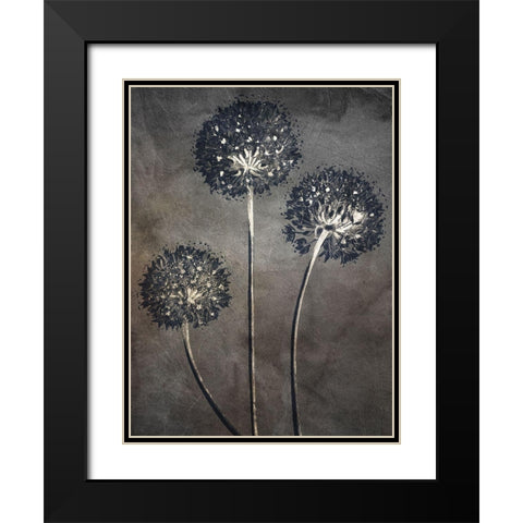 Puff 1 Black Modern Wood Framed Art Print with Double Matting by Bailey, Ann
