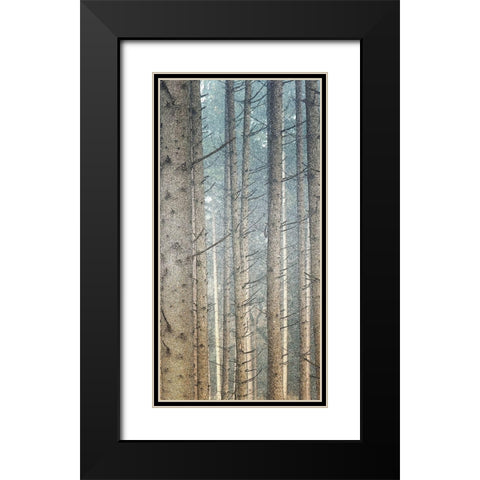 Forest Dreaming 2 Black Modern Wood Framed Art Print with Double Matting by Bailey, Ann
