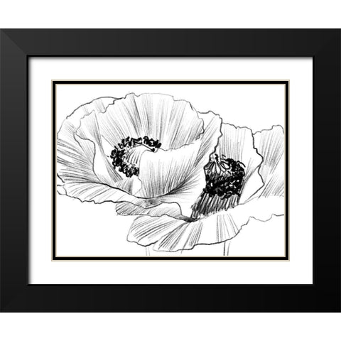 Sketched Poppies 3 Black Modern Wood Framed Art Print with Double Matting by Boho Hue Studio
