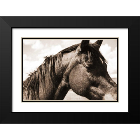 Solitary Horse Black Modern Wood Framed Art Print with Double Matting by Alvarez, Cynthia
