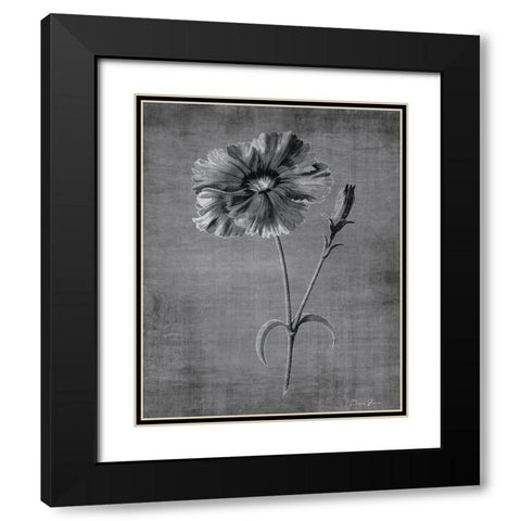 Tranquil Botanical 3 Black Modern Wood Framed Art Print with Double Matting by Brown, Denise