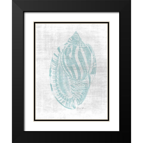 Beautiful Shells 1 Black Modern Wood Framed Art Print with Double Matting by Brown, Denise