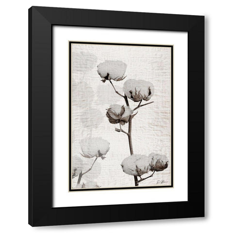Cotton Stem 1 Black Modern Wood Framed Art Print with Double Matting by Brown, Denise