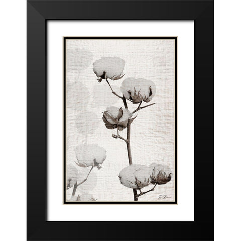 Cotton Stem 1 Black Modern Wood Framed Art Print with Double Matting by Brown, Denise