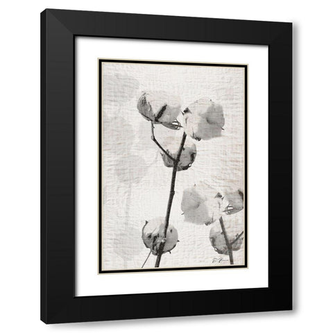 Cotton Stem 2 Black Modern Wood Framed Art Print with Double Matting by Brown, Denise