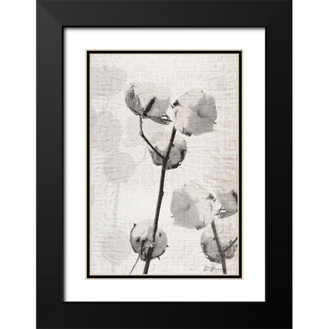 Cotton Stem 2 Black Modern Wood Framed Art Print with Double Matting by Brown, Denise