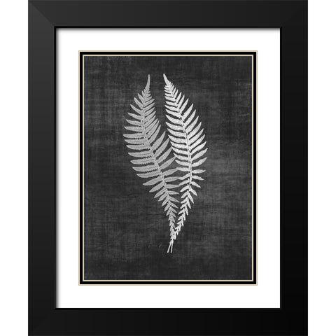Astor Fern 2 Black Modern Wood Framed Art Print with Double Matting by Brown, Denise