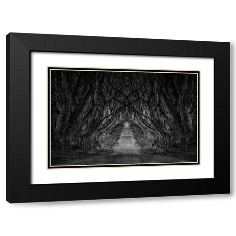 Black And White Trees Black Modern Wood Framed Art Print with Double Matting by Brown, Denise