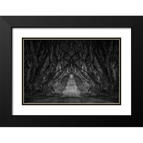 Black And White Trees Black Modern Wood Framed Art Print with Double Matting by Brown, Denise