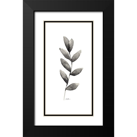 Botanical Stem 1 Black Modern Wood Framed Art Print with Double Matting by Brown, Denise