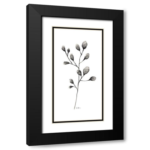 Botanical Stem 2 Black Modern Wood Framed Art Print with Double Matting by Brown, Denise