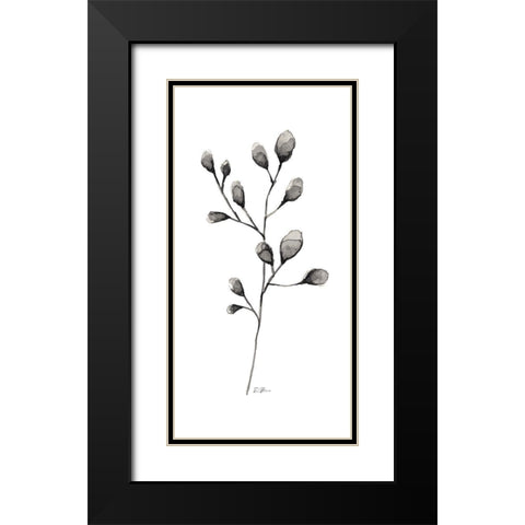 Botanical Stem 2 Black Modern Wood Framed Art Print with Double Matting by Brown, Denise