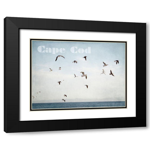 Cape Flight Black Modern Wood Framed Art Print with Double Matting by Urquhart, Elizabeth