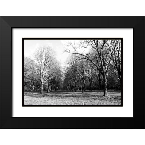 Path Way Black Modern Wood Framed Art Print with Double Matting by Frances, Stephanie