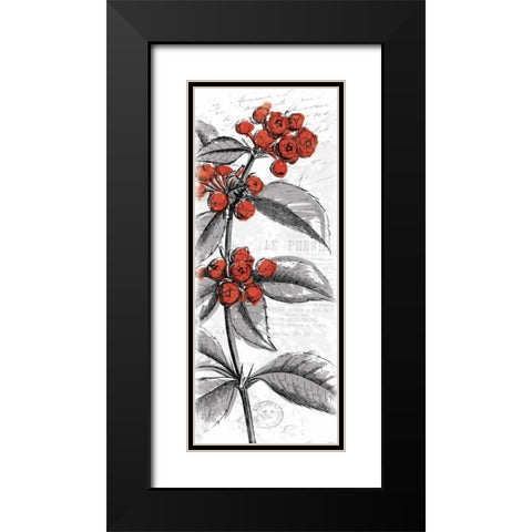 Red Flower Black Modern Wood Framed Art Print with Double Matting by Grey, Jace
