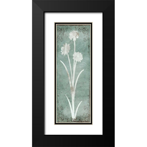 Postal Floral Silo Black Modern Wood Framed Art Print with Double Matting by Grey, Jace