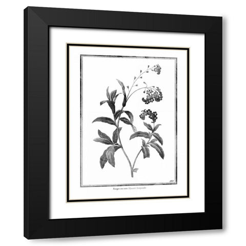 Forget me not Black Modern Wood Framed Art Print with Double Matting by Grey, Jace