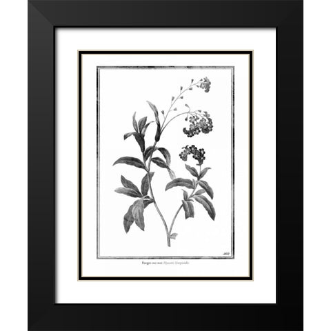 Forget me not Black Modern Wood Framed Art Print with Double Matting by Grey, Jace