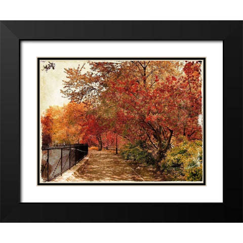 NY Fall Black Modern Wood Framed Art Print with Double Matting by Grey, Jace