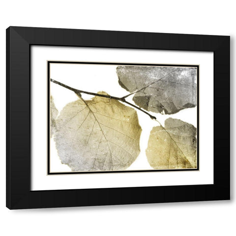 Classic Leaves White Black Modern Wood Framed Art Print with Double Matting by Grey, Jace