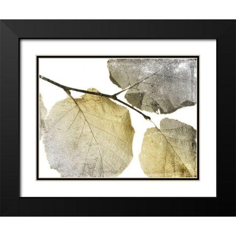 Classic Leaves White Black Modern Wood Framed Art Print with Double Matting by Grey, Jace