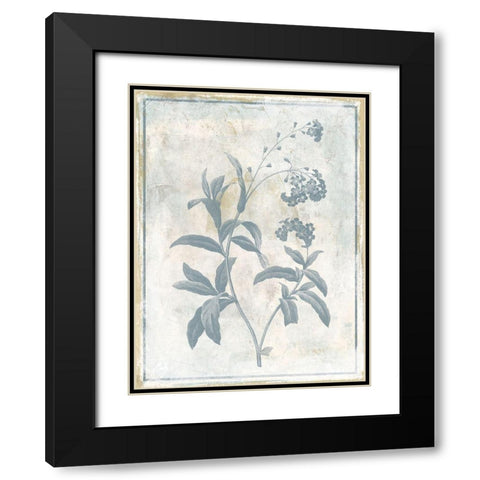 Sky Floral Two Black Modern Wood Framed Art Print with Double Matting by Grey, Jace