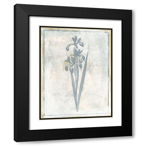 Sky Floral Four Black Modern Wood Framed Art Print with Double Matting by Grey, Jace