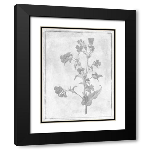 Monochrome Floral Cleaner 1 Black Modern Wood Framed Art Print with Double Matting by Grey, Jace