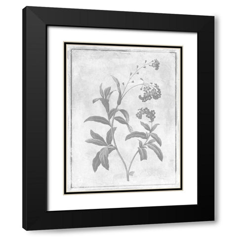 Monochrome Floral Cleaner 2 Black Modern Wood Framed Art Print with Double Matting by Grey, Jace