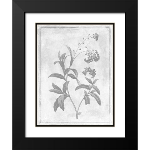 Monochrome Floral Cleaner 2 Black Modern Wood Framed Art Print with Double Matting by Grey, Jace