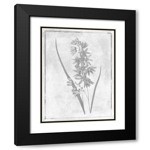 Monochrome Floral Cleaner 3 Black Modern Wood Framed Art Print with Double Matting by Grey, Jace