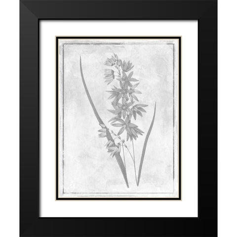 Monochrome Floral Cleaner 3 Black Modern Wood Framed Art Print with Double Matting by Grey, Jace