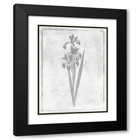 Monochrome Floral Cleaner 4 Black Modern Wood Framed Art Print with Double Matting by Grey, Jace