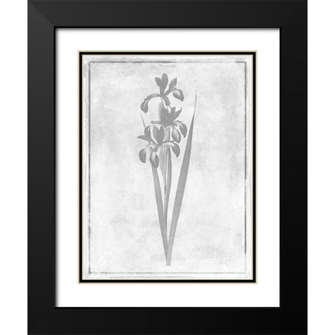 Monochrome Floral Cleaner 4 Black Modern Wood Framed Art Print with Double Matting by Grey, Jace