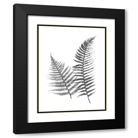 Monochromatic Ferns 1 Black Modern Wood Framed Art Print with Double Matting by Grey, Jace