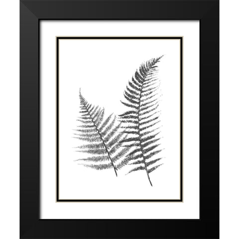 Monochromatic Ferns 1 Black Modern Wood Framed Art Print with Double Matting by Grey, Jace
