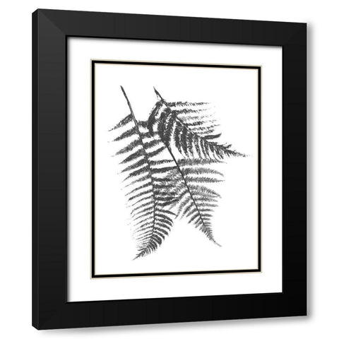 Monochromatic Ferns 2 Black Modern Wood Framed Art Print with Double Matting by Grey, Jace