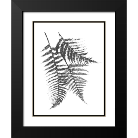 Monochromatic Ferns 2 Black Modern Wood Framed Art Print with Double Matting by Grey, Jace