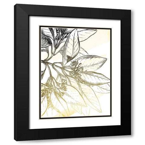 Fade Botanicals Black Modern Wood Framed Art Print with Double Matting by Grey, Jace