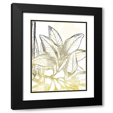 Fade Botanicals Mate Black Modern Wood Framed Art Print with Double Matting by Grey, Jace