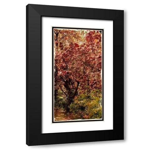 Ny Fall Trees Black Modern Wood Framed Art Print with Double Matting by Grey, Jace
