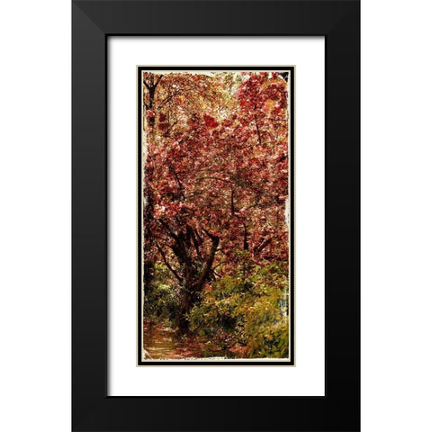 Ny Fall Trees Black Modern Wood Framed Art Print with Double Matting by Grey, Jace