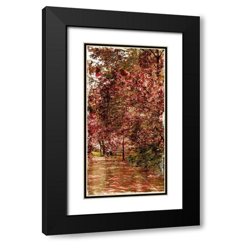 Ny Fall Trees Mate Black Modern Wood Framed Art Print with Double Matting by Grey, Jace