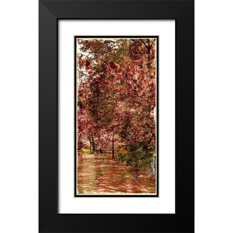 Ny Fall Trees Mate Black Modern Wood Framed Art Print with Double Matting by Grey, Jace