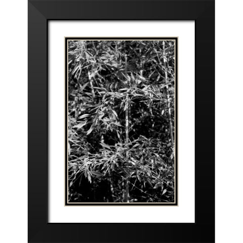 Beach Foliage 1 Black Modern Wood Framed Art Print with Double Matting by Grey, Jace