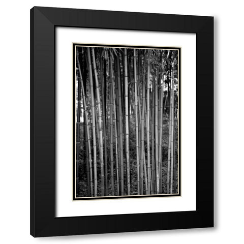 Beach Foliage 2 Black Modern Wood Framed Art Print with Double Matting by Grey, Jace